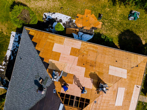 Best Roof Gutter Cleaning  in Mount Carmel, IL