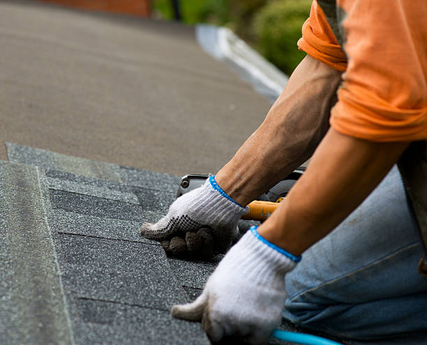 Quick and Trustworthy Emergency Roof Repair Services in Mount Carmel, IL