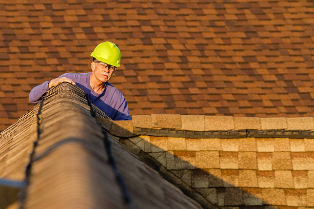 Best Flat Roof Repair Services  in Mount Carmel, IL